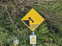 Car falling into sea