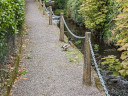 Duck on path