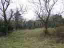 Lower Field looking West