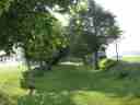 Ruined Friary