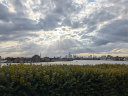 Sunburst over London, 26 July 2024