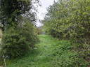 Lower field