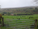 Fine day in Ireland