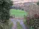 Corner on driveway