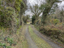 Road has weathered the winter well