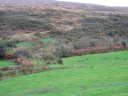 View looking up the ridge at Rooska