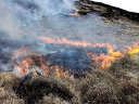 Western fire front
