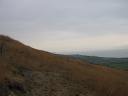 Looking west from Woodland