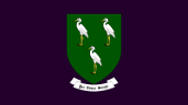 Ahern coat of arms