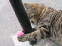 Blurred Motion