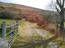 Tidy Drive